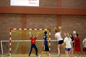 Handball is one of the most popular sports in Europe, with teams in Spain, France and Germany among the most supported clubs in any sport throughout the continent