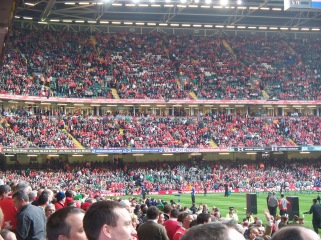 Ireland beat Wales at the Millennium Stadium